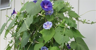 SKJAM! Reads--One Read, One Recommended 8/25