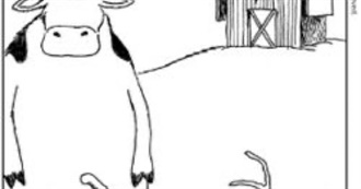 Havocs Awesome Album List