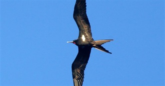 Birds on the Michigan Review List