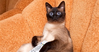 Movies for the One and Only Catherine