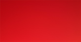 Stuff to Watch &#128149;