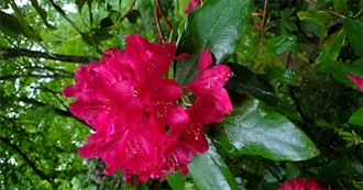 Books Maddy Read in 2024