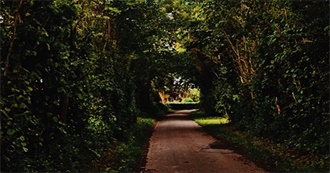 Mette's Movie Bucket List 2019