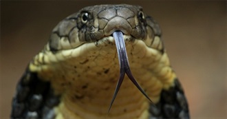 For Our 600th Entry: 100 Movies Involving Danger