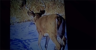 Fish You Have Caught