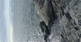 Foundational Seb Texts