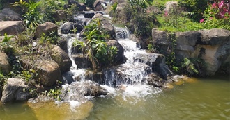 Irenevt&#39;s List - May as Well Jump on the Bandwagon