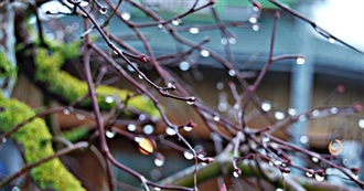 50 Books Janelle Has Read