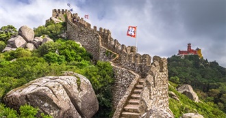 Where Did Willem Go in (2025)?