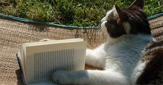Purrfectly Bookish