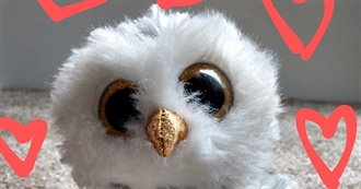 Beanie Boos Beanieboolover (And People She Knows) Renamed