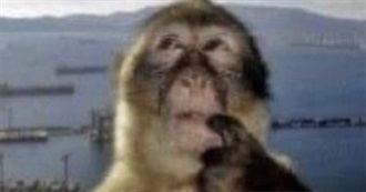 How Many of Jinsouler&#39;s Favourite Books Have You Read?