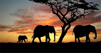 Top 10 Countries to Visit in Africa