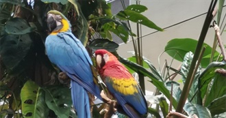 Gabs&#39; Top 50 Movies of All Time