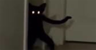 Cody Won&#39;t Win This