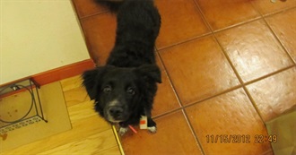 Every Marvel Film Ranked Worst to Best!