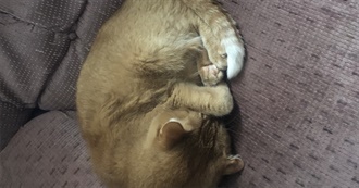 Skylar&#39;s Top 40 Movies