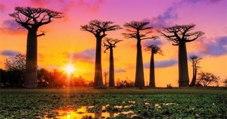 25 Largest Islands in the World