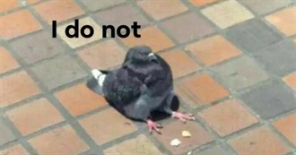 Gen&#39;s Top Movies