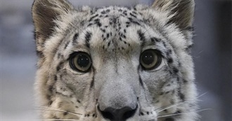 Haley&#39;s Whimsical List of Favorite Movies