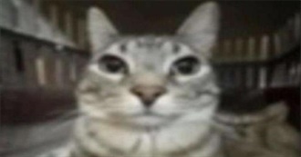 Cyrus&#39; Top 50 Movies !!!