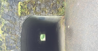 30 Books to Read Before Turning 30