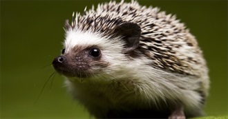 Zippy&#39;s Favorite Movies [Update]