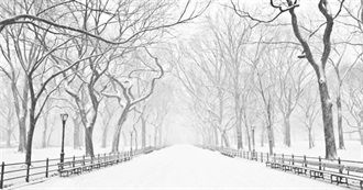 Winter 2026 TBR List