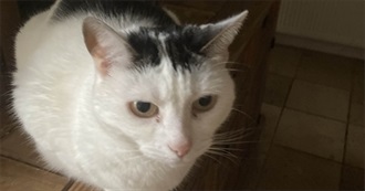 Books Lottie Read in 2025