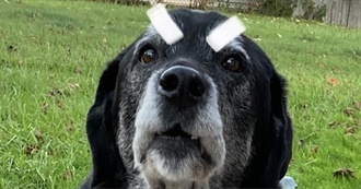 Leeann&#39;s Fav Artists