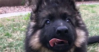 Tatum&#39;s Top 50 Movies!!!