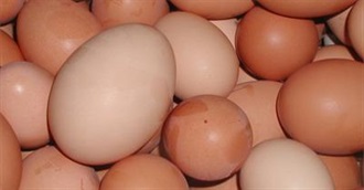 Food Beginning With E