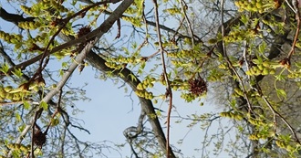 DK&#39;s Favorite Movies