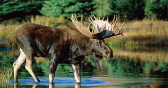 Characters Beginning With &#39;M&#39;