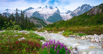 Don&#39;t Sleep on the Pacific NW