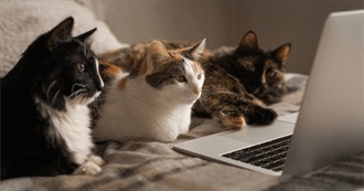 All the Movies/Shows G Watched in 2025