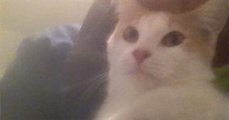 Ultimate Couch Potato TV Shows