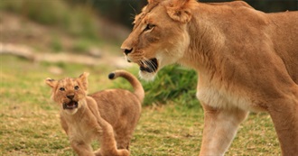 100 Movies to See on the Big Screen, And/Or for Mother&#39;s Day