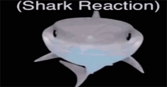 Rin&#39;s Favorite Movies