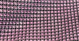 Nikita&#39;s Concerts She Has Attended