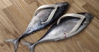 Jade&#39;s List of Music