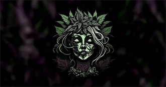 Albums From 2024 That Steve Has Listened To