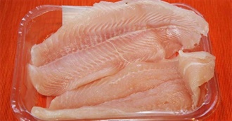 What Ray Ate - Day 513