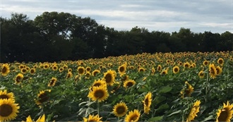 Maisie-Dukes&#39;s 100 Best Movies Seen in 2022