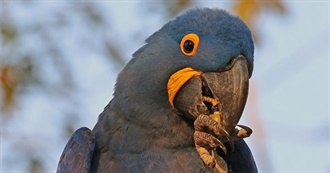 Alisons Favorites Foreverrr