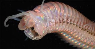 The One That Got Away