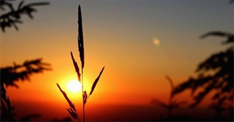 Lisas Favorite Movies - How Many Have You Seen?