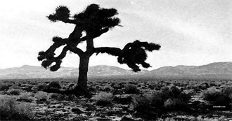 Argonaut&#39;s Best Albums of 1987