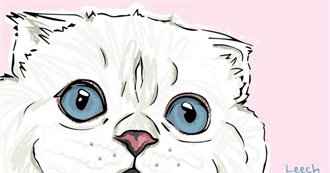 12 Cat Movies Tilly Seen!!