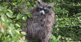 October 2024 Movies New to Ann